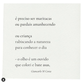 Imagem padrão