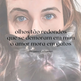 Imagem padrão
