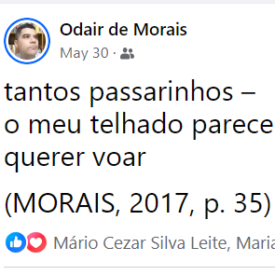 Imagem padrão