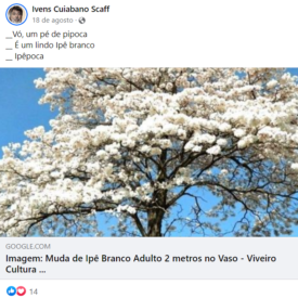 Imagem padrão