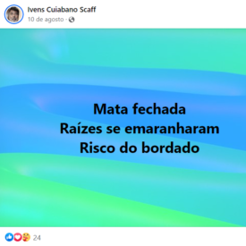 Imagem padrão