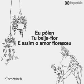 Imagem padrão