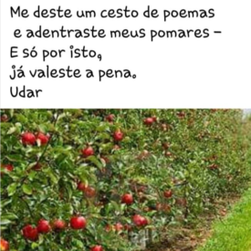 Imagem padrão