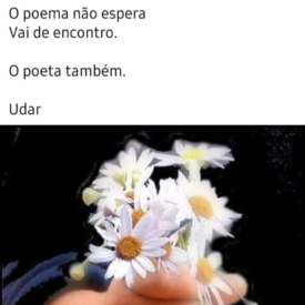 Imagem padrão