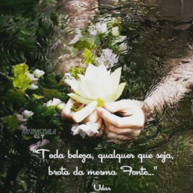 Imagem padrão